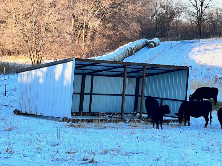 Steel Farm Structures